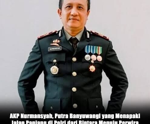 images(1)(3)_copy_495x520