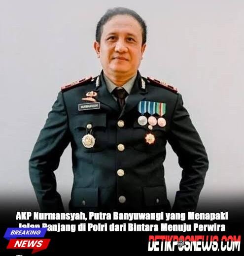 images(1)(3)_copy_495x520