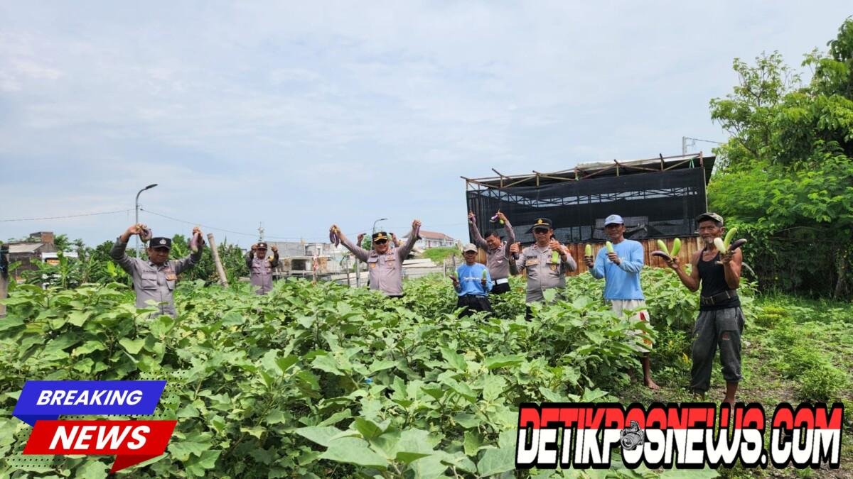 IMG-20260704-WA0045