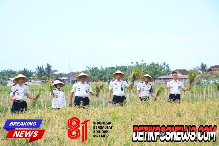 IMG-20260728-WA0038