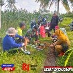 IMG-20260729-WA0005