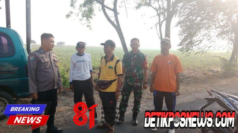 IMG-20260825-WA0021